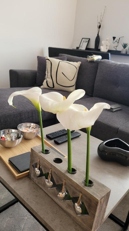 Apartman Riva Kraljevo Kültér fotó